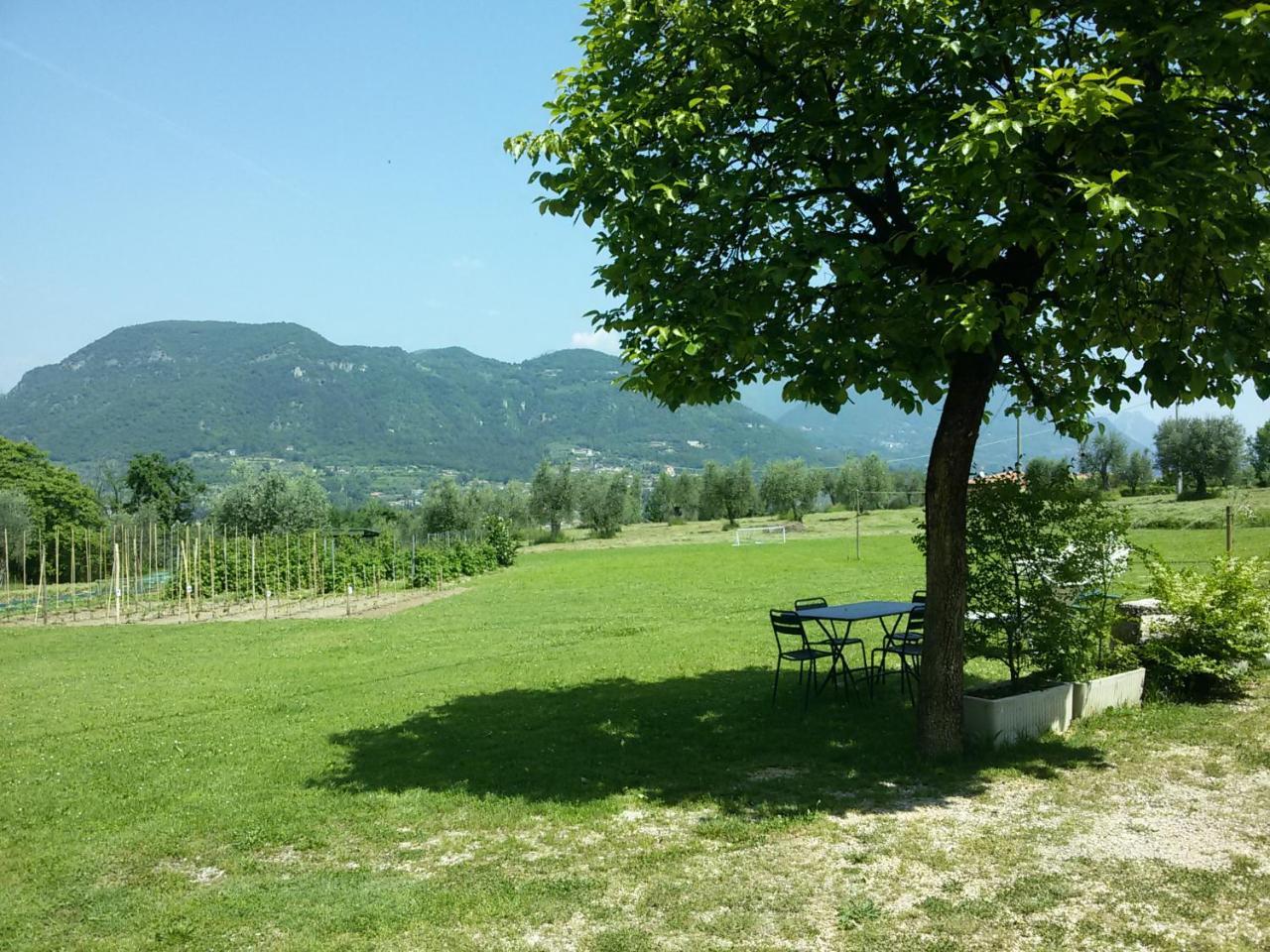 Agriturismo La Scala Villa Salò Eksteriør billede