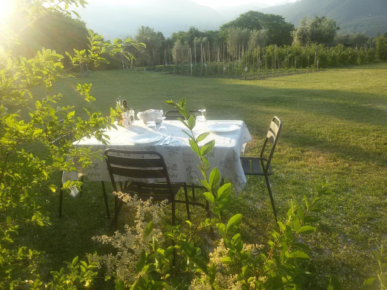 Agriturismo La Scala Villa Salò Eksteriør billede