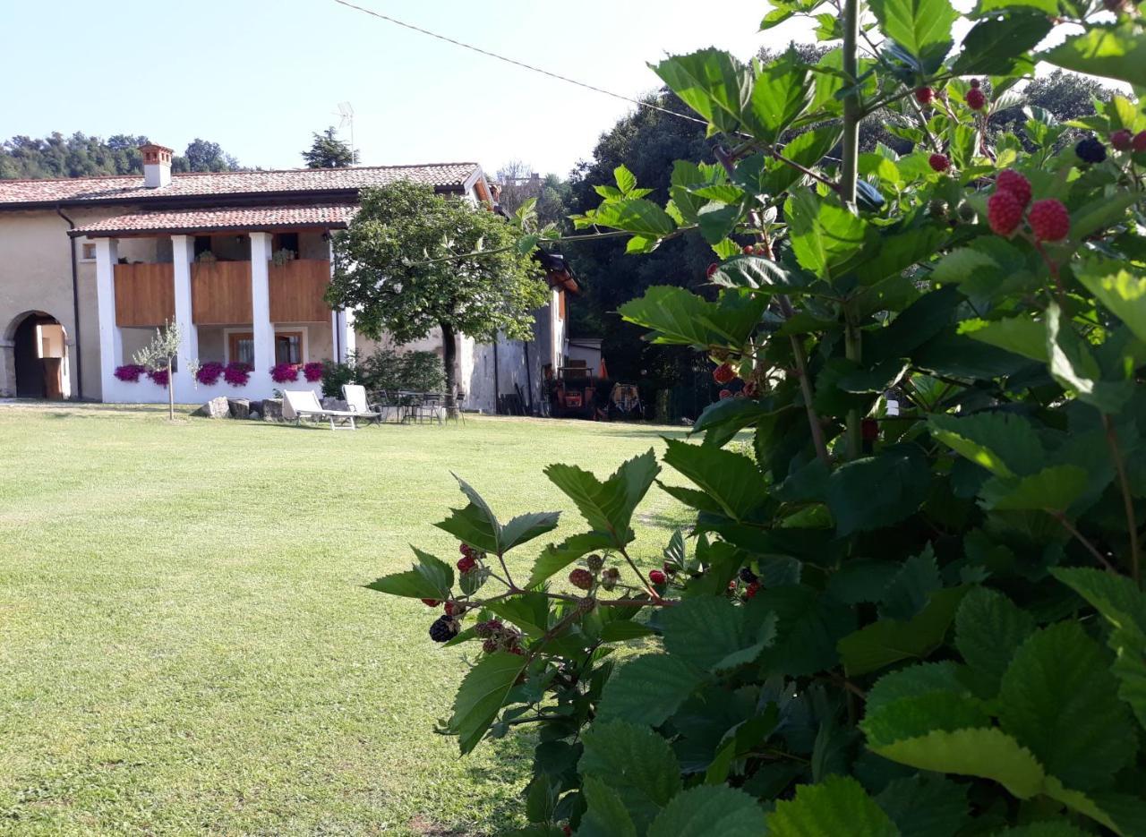 Agriturismo La Scala Villa Salò Eksteriør billede